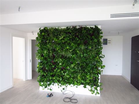 Grădină verticală cu plante naturale – Iancu Nicolae, foto 22 din 26